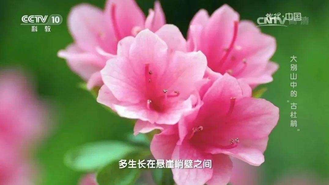 http://mp.weixin.qq.com/s?__biz=Mzg3NjgzNDk2Mw==&mid=2247484609&idx=3&sn=e50cde34763c47c7b12a59ec941e039d&chksm=cf2d7d3df85af42b380199e1c19e65314da80303f97c04f01981c13d22d6d5e3ae5fc1603697#rd