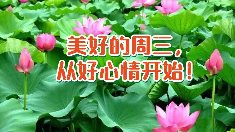 http://mp.weixin.qq.com/s?__biz=MzAwODExMTM2Mw==&mid=2649556138&idx=1&sn=8c8ee34a3e3cf4fa78b839cf313b63b3&chksm=836a70c6b41df9d03dfcf57174b5f09974851645c6abf76f339b95fcd06dedaa7b70788c4854#rd