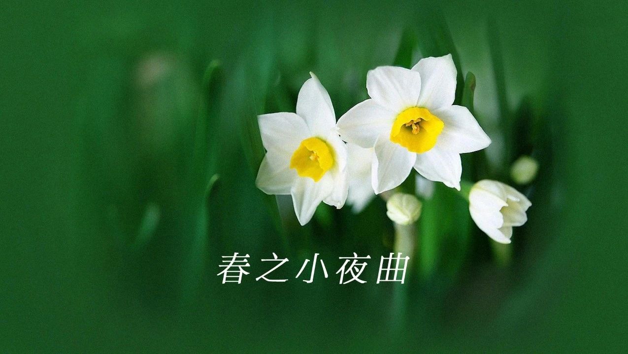 http://mp.weixin.qq.com/s?__biz=MjM5MDkzNjgzNg==&mid=2652433645&idx=2&sn=d0b7a82146b90ae9d350ea3d5cdc50c3&chksm=bd5176868a26ff901f7609c25fbe3a3f76e5de6b2ca4c23834013e861bcb932cb6a9607c92e1#rd