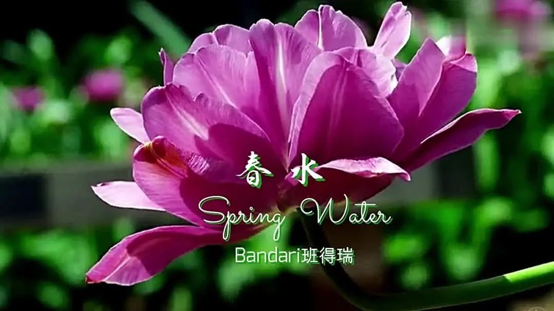 http://mp.weixin.qq.com/s?__biz=MjM5ODk5NDM4MA==&mid=2650518157&idx=1&sn=4d6eddbff7dd13fe9e4398ce388f0d1c&chksm=becd5a2e89bad338ac34729376ca4986c6c7db68cd029bb58b84a74eb3ea2c8831fd1c2322fa#rd